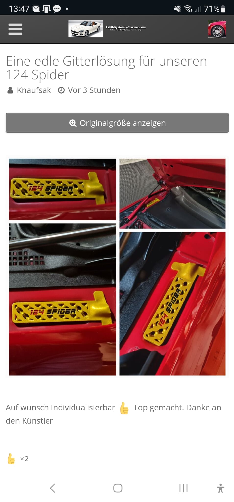 Dirt trap grille - for slot in metal structure in engine compartment side